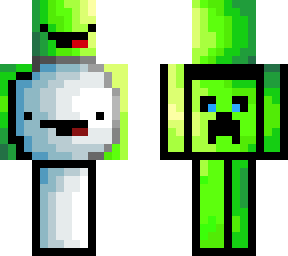 skin