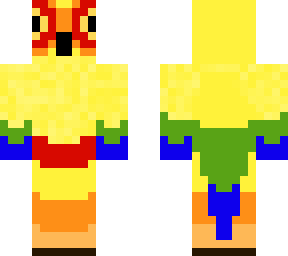 sun conure parrot