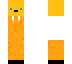 doctor bear