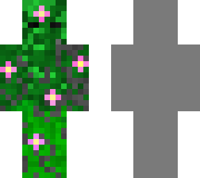 plane skin