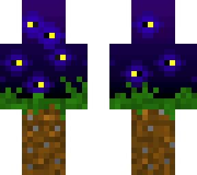 the midnight light