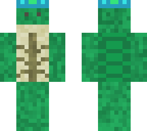 the turtle king