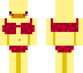 beach duck