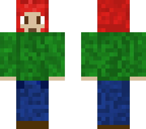 the minecraft gamer