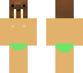 walrus beach