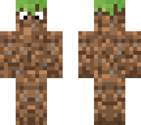 grassers skin (grass block)