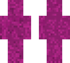 nether portal hiding skin