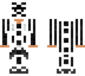 skin super hacker (le gentil hacker)