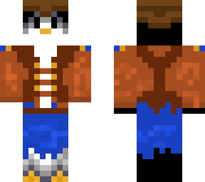 pirate penguin