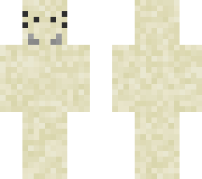 sand spider