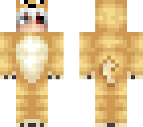 solr dogo