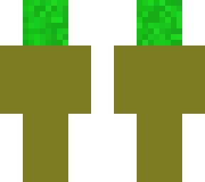 grass