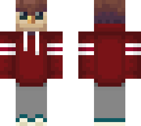 owl in hoodie 2