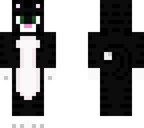 black and white cat