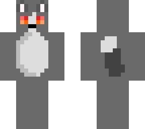 cat grey