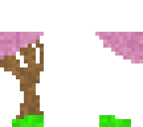 cherry blossom