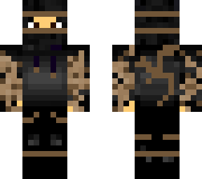 earth ninja