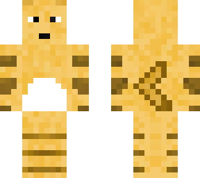 tabby cat