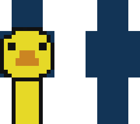 duck dream