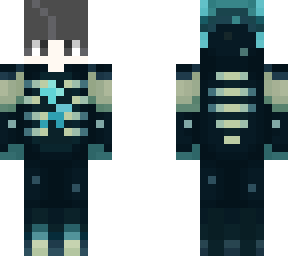 illy's warden suit