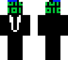 software skin
