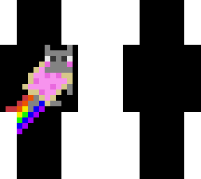 nyan cat thing