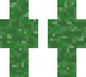 camo guy