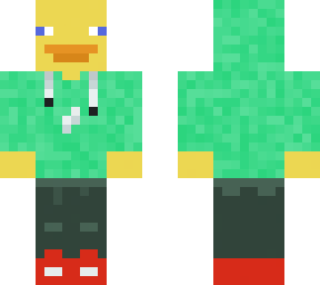 duck in a hoodie