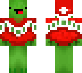 turtle with sweater