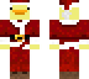 winter duck
