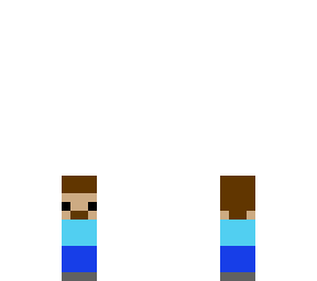 mini steve