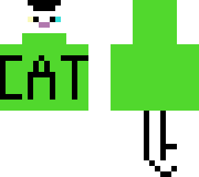 cat with green jacket