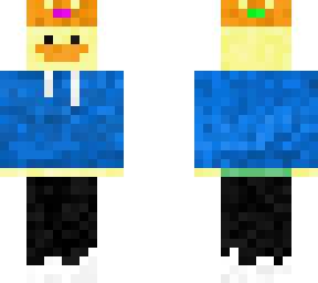 hoodie duck