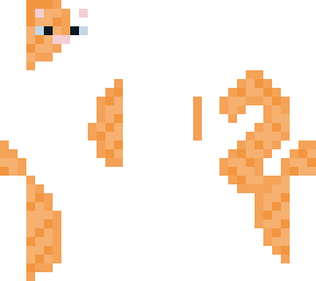 orange and white cat
