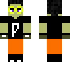 pifixel skin