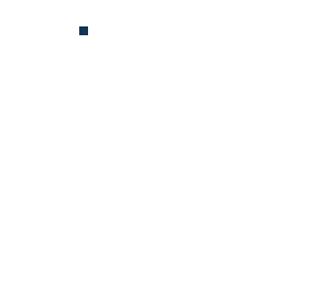 pixel