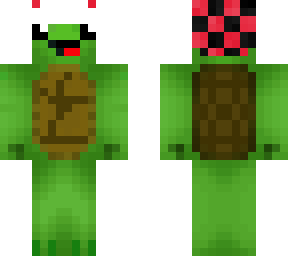 turtle hat guy