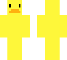 another duck