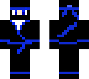 blue stealth ninja