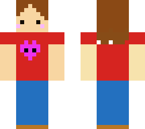 ddskin