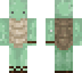 normal turtle