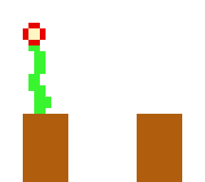 flower pot