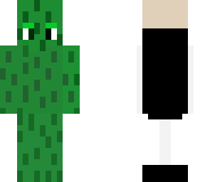 sea pickle