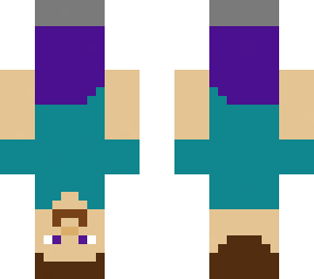 upside down steve