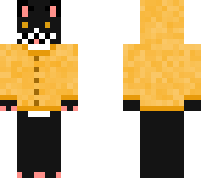 chonky cat in a raincoat