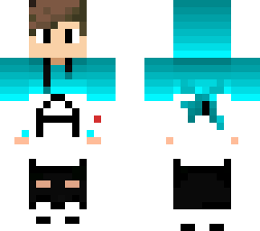 skin for anshparam