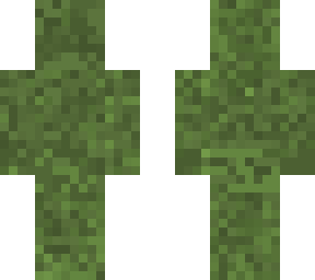 camouflage