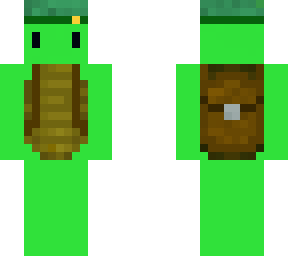 casual turtle