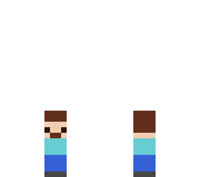 mini steve