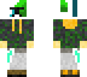 the disguise